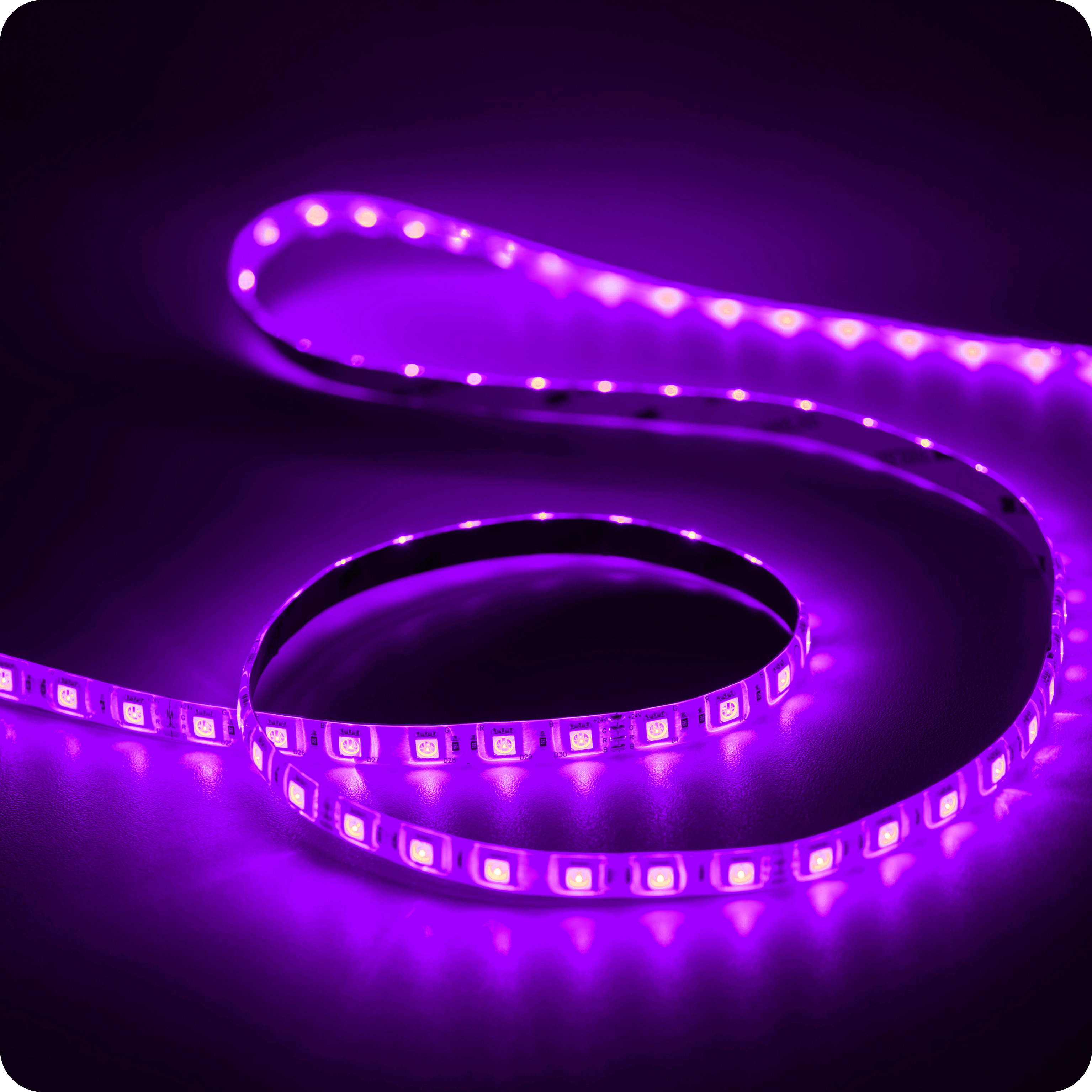 ledstrip-rgb-paars-v2 2.jpg, Paars, Licht, Elektronica, GELEID