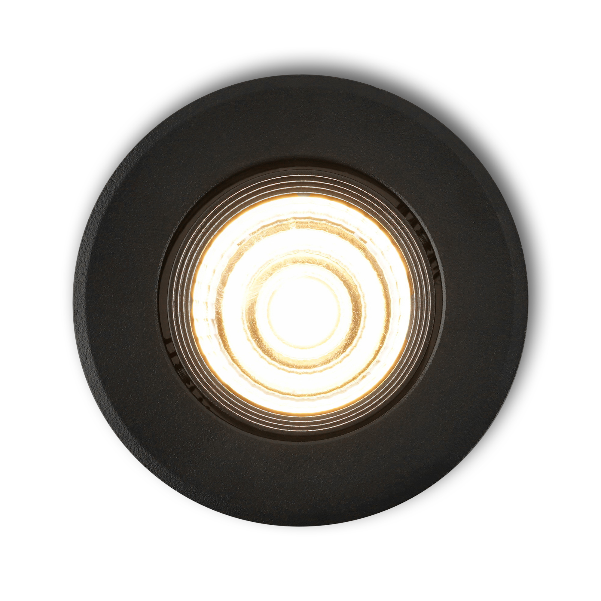 Fioli_zwa_top_lighton_25.jpg