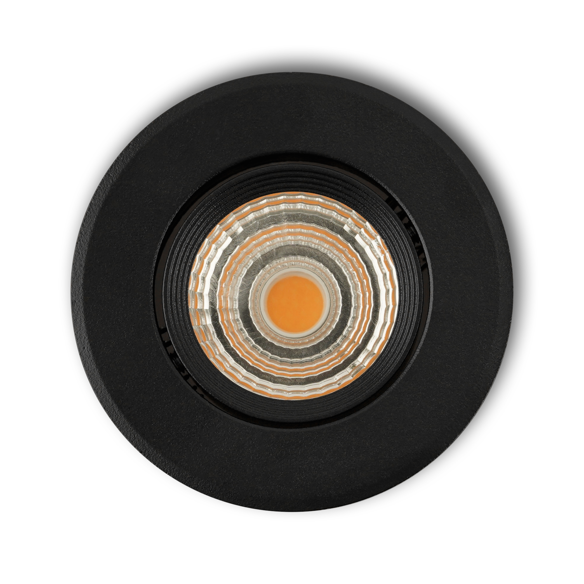 Fioli_zwa_top_lightoff_25.jpg