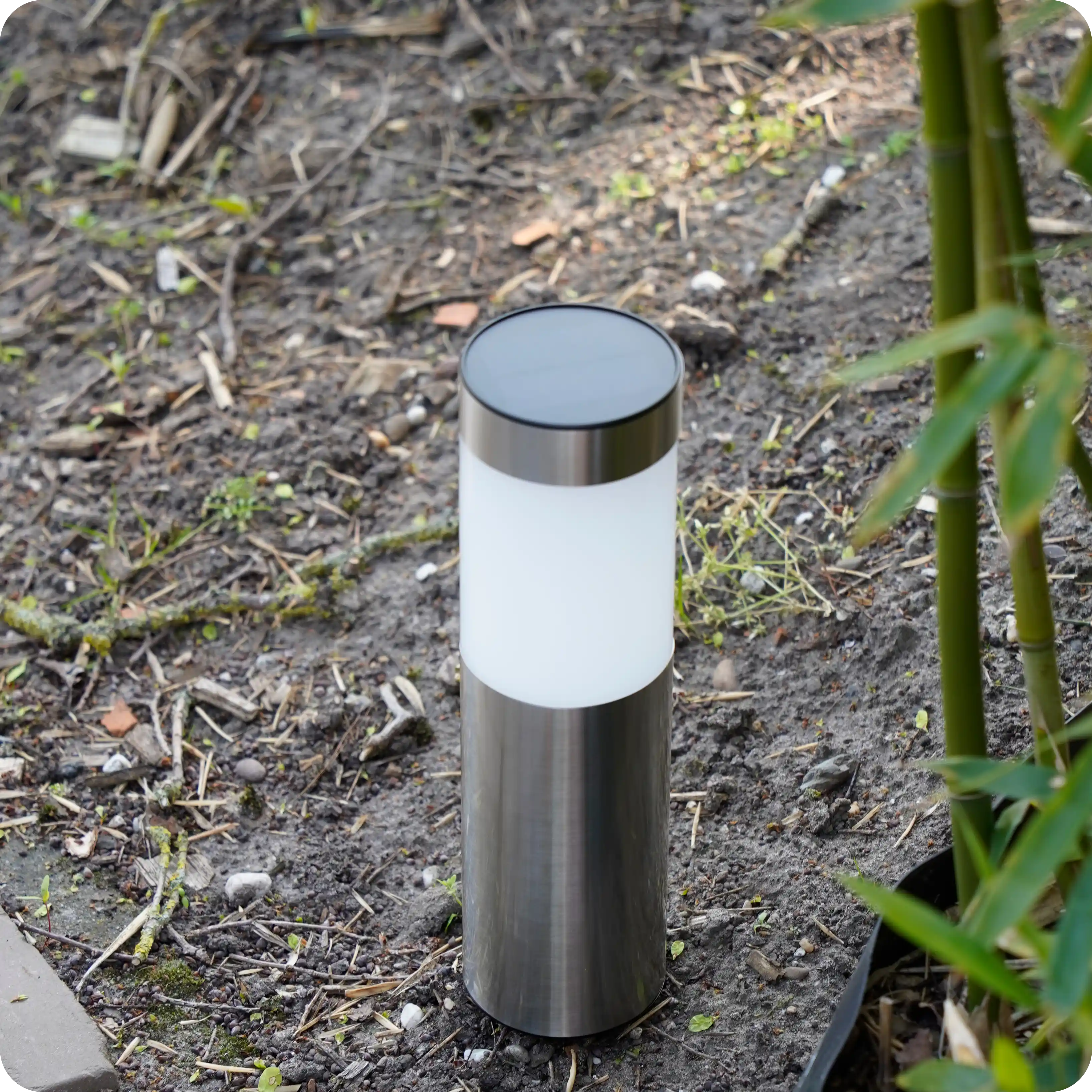 Solar LED-priklamp Canoni RVS voor buitenverlichting